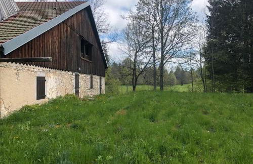 La Sauvagine - Foto 1