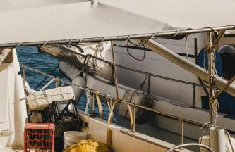 Chris&C Apartments - Foto 39