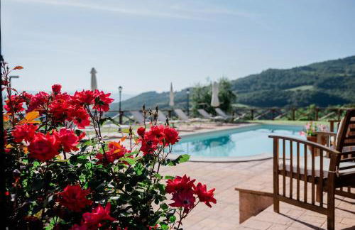 La casa di Sofia - Foto 2