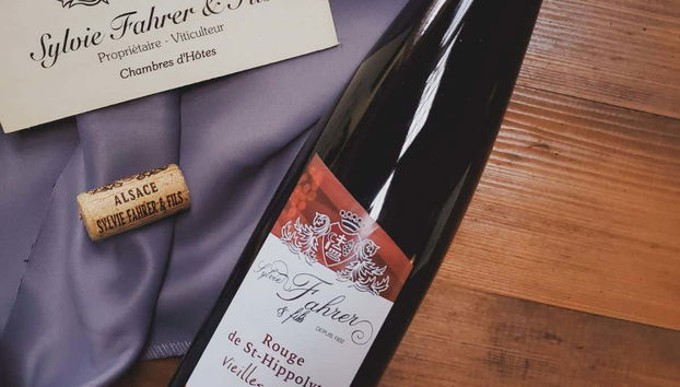 Visite des caves à vin Sylvie Fahrer et Fils