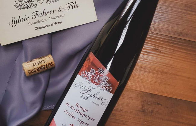 Visita às vinícolas Sylvie Fahrer et Fils - Foto 2