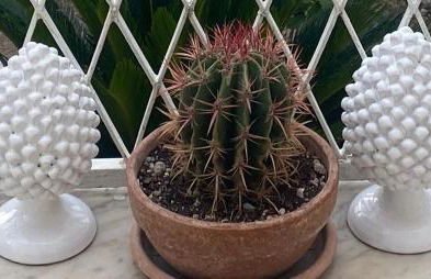 Villa Luisa Guest House - Foto 25