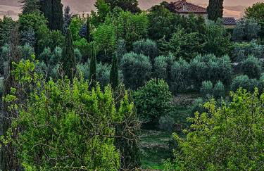 Guest House Manufacto - Foto 31