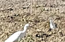 Molino della Tuoma - Foto 64