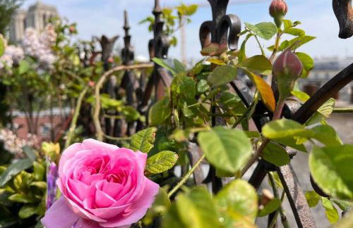 Rooftop Triplex with Garden at Notre Dame - Foto 25