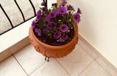 Dream House Karagounis - Foto 24