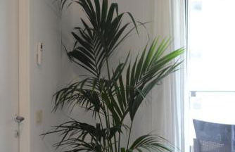 La Fenice Suite - Photo 18