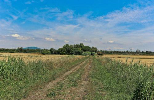 Villa With Views Of The Tuscan Maremma - Foto 35