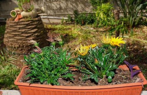 Villa Angel - Foto 14