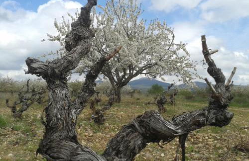 Casa Rural en Lerma - Photo 19