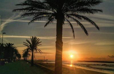 BLAU MARÍ 175 - Photo 47