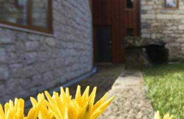 Casa das Castanhas - Cinfães, Viseu - Photo 12