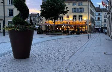 Épinal : superbe appartement en plein centre ville - Foto 15