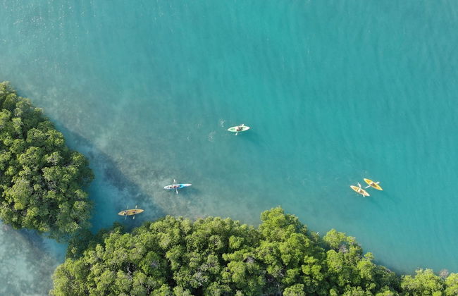 Shaka Caye - Photo 76