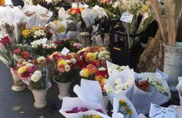 Apt en Luberon appartement 3 chambres et garage privée - Photo 19