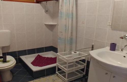 Apartments by the sea Brgulje, Molat - 16217 - Foto 16