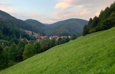 Gemütliches Apartment mit Kamin und Wohnküche - Foto 12