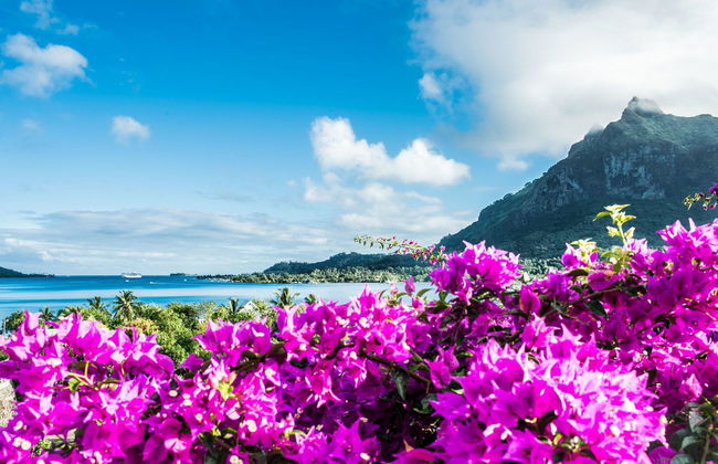 Villa Rea Hanaa - Foto 8