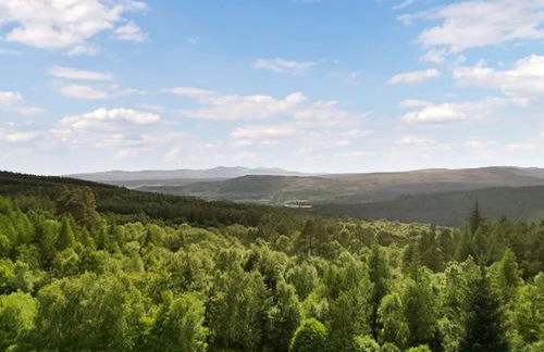 The Carnegie Rooms At Aultnagar Lodge - Uk48666 - Foto 21