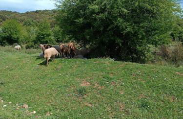 Casa Rural GUADALUPE de la fuenfria - Foto 10
