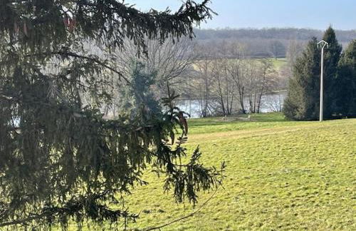 La scierie Massonat - Foto 10