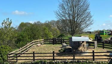 Obst- und Weingut Ingenhof - Foto 2