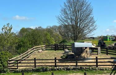 Obst- und Weingut Ingenhof - Foto 2