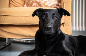 Ferienhaus ScheunenRefugio - Foto 15