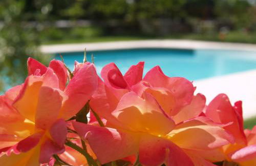 La Vayssade - Grand Gîte de charme - 14 pers - Piscine & Jacuzzi - Photo 59