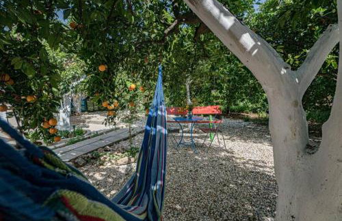 Olga's Organic garden Home for a couple! with Wifi & AC - Foto 18