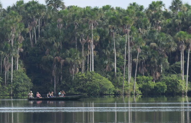 Tambopata National Reserve & Rainforest 4 Day Tour - Photo 8