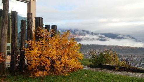 Agriturismo Verdecrudo - Foto 2, Garden view