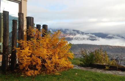 Agriturismo Verdecrudo - Foto 2