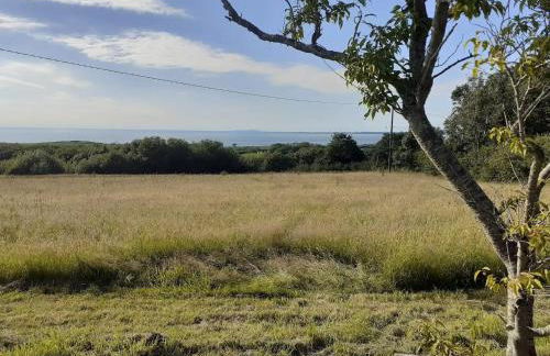 The Annex - Photo 12