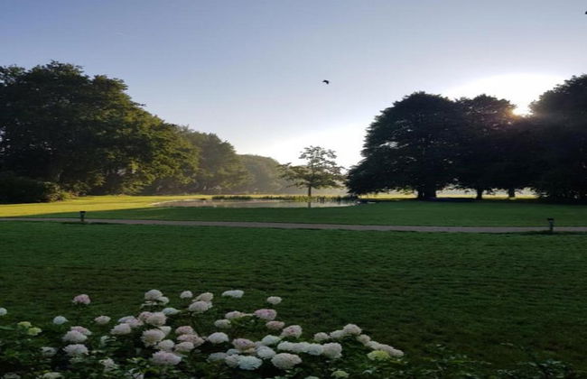 Chalet in Holiday Park With Private Terrace - Photo 14