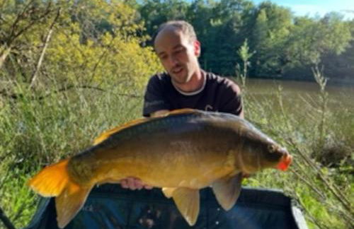 La Tiny House Terra Nostra - Foto 25