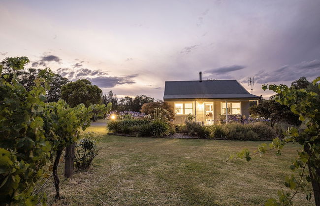 McCaffrey's Estate - Photo 11