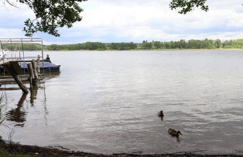 Ferienhaus Star Villa-Pälitzsee - Foto 9