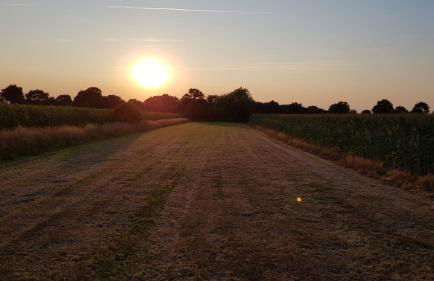 Ferienwohnung Utkiek - Foto 40