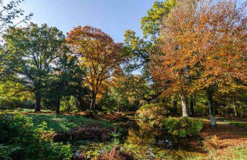 Schlossblick - Foto 26