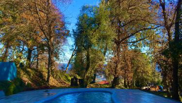 Quinta Abelha - Foto 2, Garden