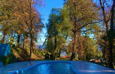 Quinta Abelha - Foto 2