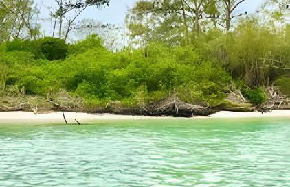 Cobertura com piscina, sauna e churrasqueira - Foto 10