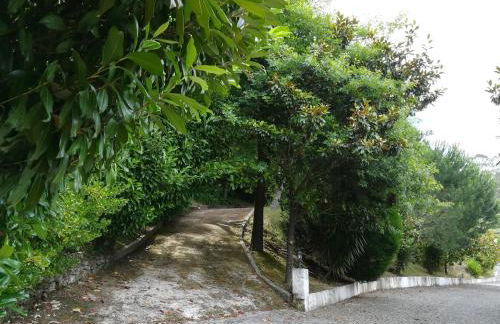 Quinta de S. Vicente 317 - Foto 57