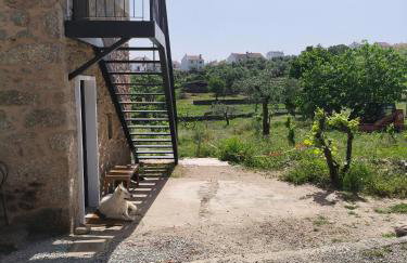 Tapada das Carvalhas - Foto 7