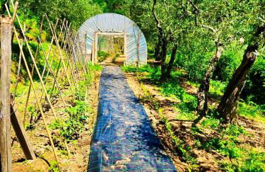 Agriturismo La Marginella - Photo 72