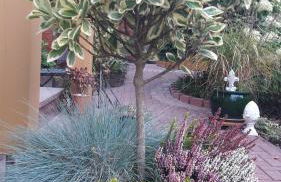 Ferienwohnung Schlossblick - Foto 21