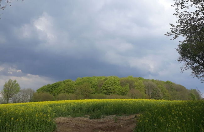 Romantic Thatched Roof House - Foto 62