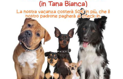 B&B Ca' del top - La casa del topo - Photo 29