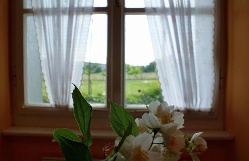 Holiday Home Freistehendes Haus Violeta mit weitläufigen Garten by Interhome - Foto 16